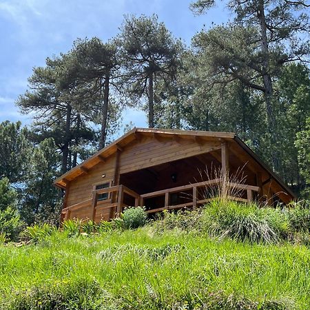 Cabana Garrote Gordo Segura de la Sierra Zewnętrze zdjęcie