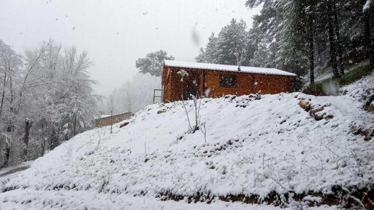 Cabana Garrote Gordo Segura de la Sierra Zewnętrze zdjęcie