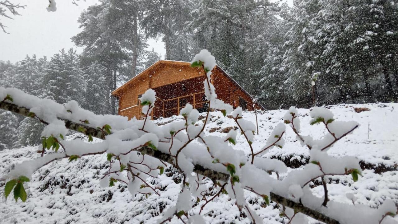 Cabana Garrote Gordo Segura de la Sierra Zewnętrze zdjęcie